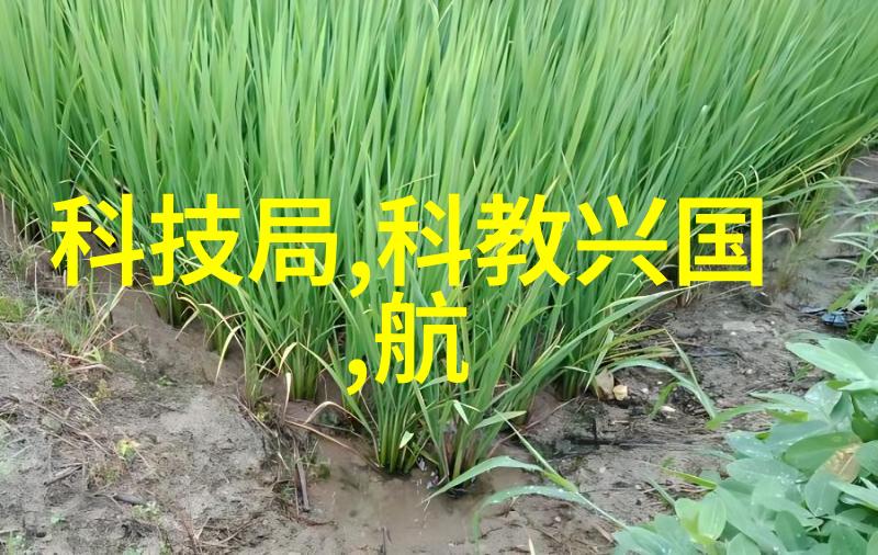 跨界融合推动发展科技巨头如何改写中国芯片历史