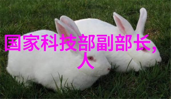 氯化钙干燥设备-高效稳定解决工业用氯化钙干燥难题的新技术与方法