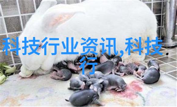 在艺术作品中a组填材画像扮演了什么角色