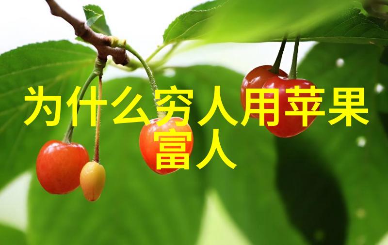 水源之谜揭秘饮用水的检测奥秘