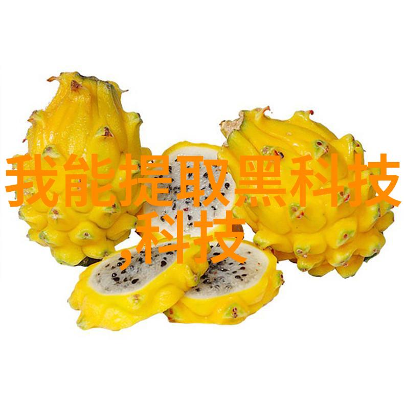 工业用天然气燃烧机之谜如何确保高效节能与环保并存
