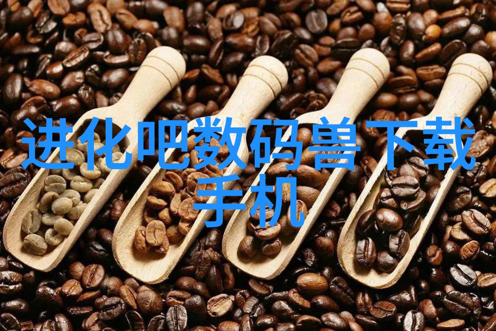 不锈钢陶瓷填料-耐腐蚀高效的新型建筑材料