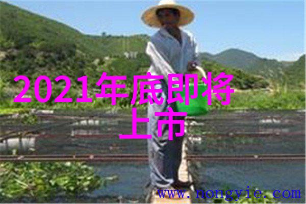 流动的谐音液力耦合器的诗意编织