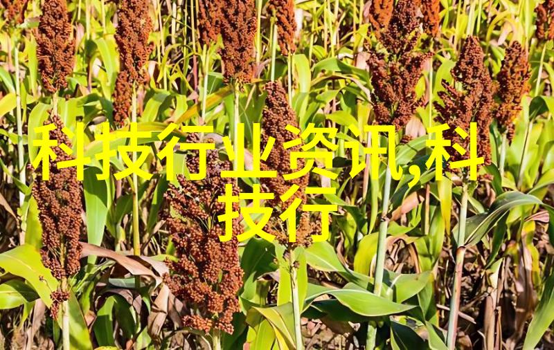 不锈钢输送机在药品生产线中的应用场景是什么