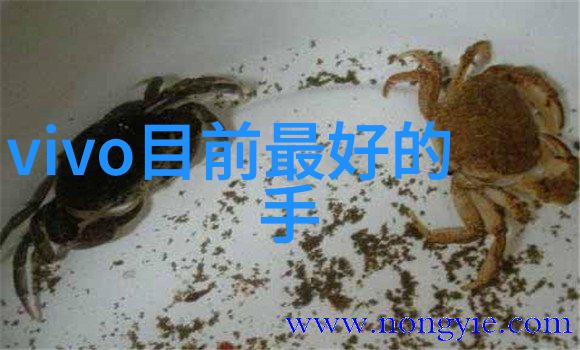 设计房子装修厨房也可以这样夸张地装修