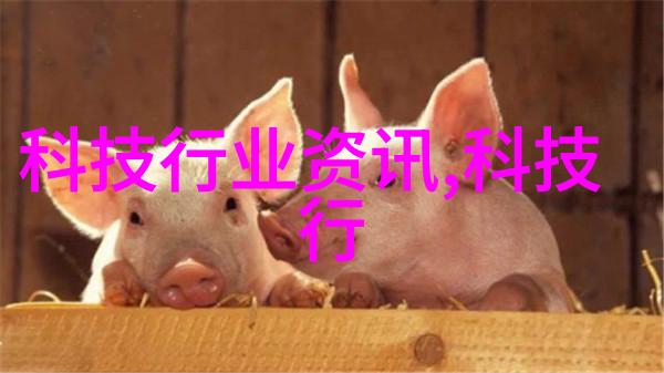 张珊珊检测机构-高精度检测守护健康安全的基石