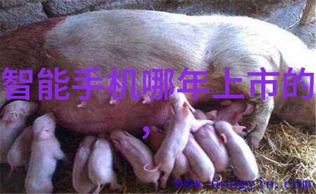 化学工程反应设计与工艺流程的艺术探究