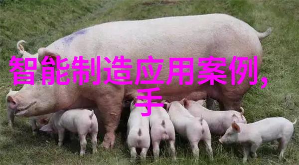 新華脈動滅菌器的創新技術如何實現更深層次的清潔效果
