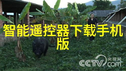 岁月轮回一五单门的幸运之主与生肖的秘密