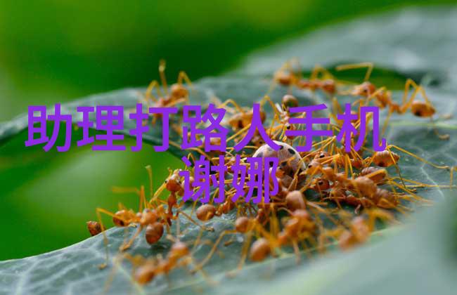 固定床反应器设计如何巧妙利用空间优化化学过程