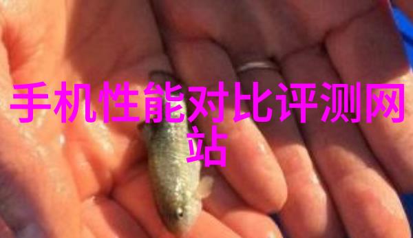 实验室选矿设备的选择与应用研究