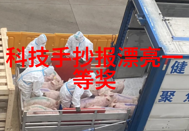 巨型惊喜揭秘那些让人忍不住的超大视频内容