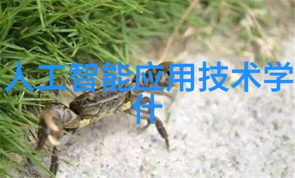 澳大利亚版权商标和专利局小企业和个人专利指导
