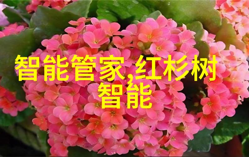 华为 智能制造 - 智造未来华为智能制造体系的创新实践与成就