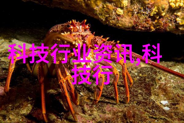 我们为什么需要在生产线上安装检重机