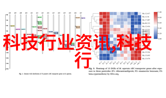 学习于此校能为我打开哪些就业机会的大门