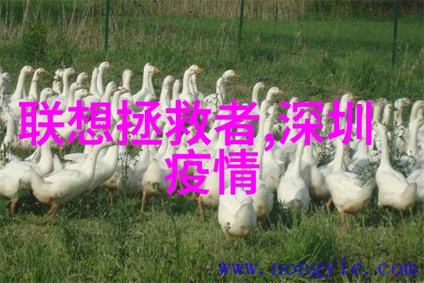 最新不锈钢价格走势图我来给你看一下这周不锈钢的行情变化吧