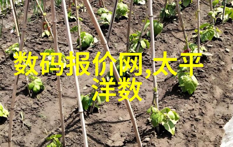 家庭自行进行tds检测的简单步骤与注意事项