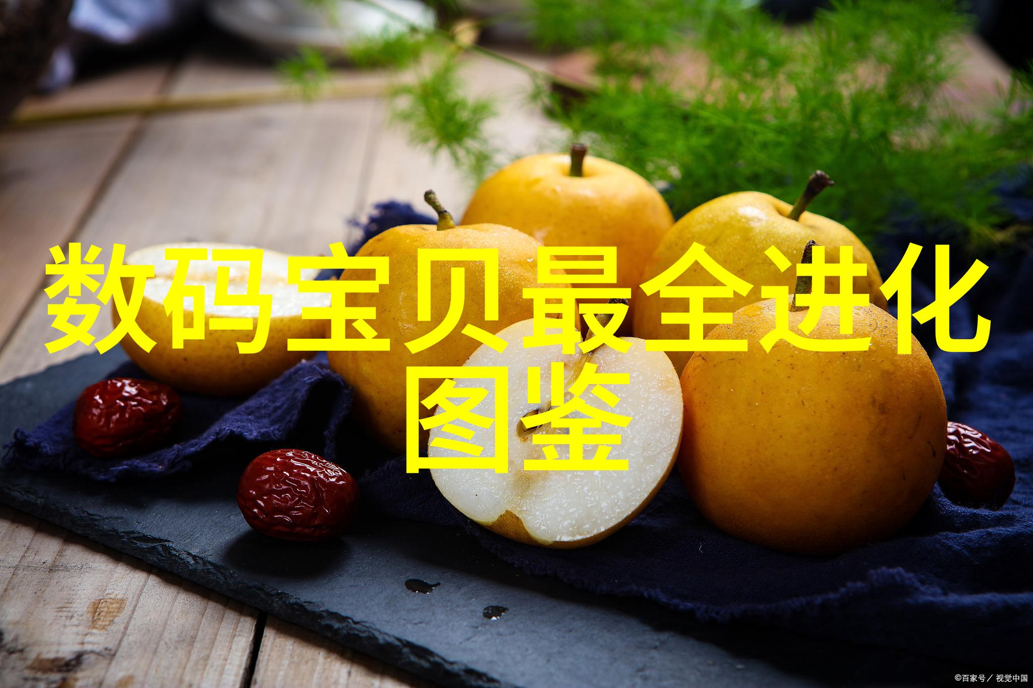 安卓应用商店热门下载榜最受欢迎的安卓应用