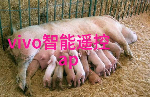 我来告诉你布袋除尘器的布袋你知道它的厂家是谁吗