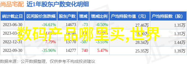 大学生社会实践报告模板深度探究大学生的社会实践经验与技能提升