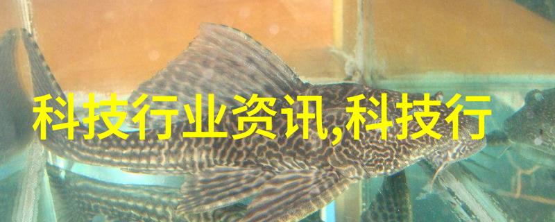智能交通系统确保道路安全的高科技守护者