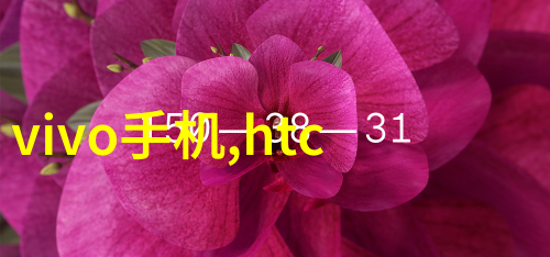 重量测量的精确者检重机的工作原理与应用