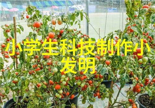 洁净工厂的守护者化工洁净室设备的奇迹