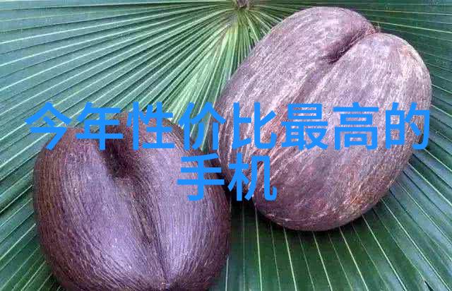 实用指南撰写高效的反映情况报告格式范文模板