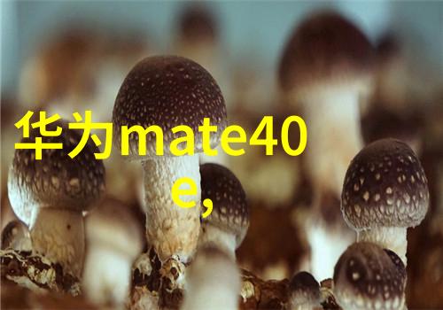 冷气贮藏设备我家的新宠物