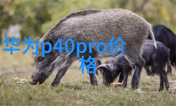 重庆实验室设备高科技研发中心的先进仪器