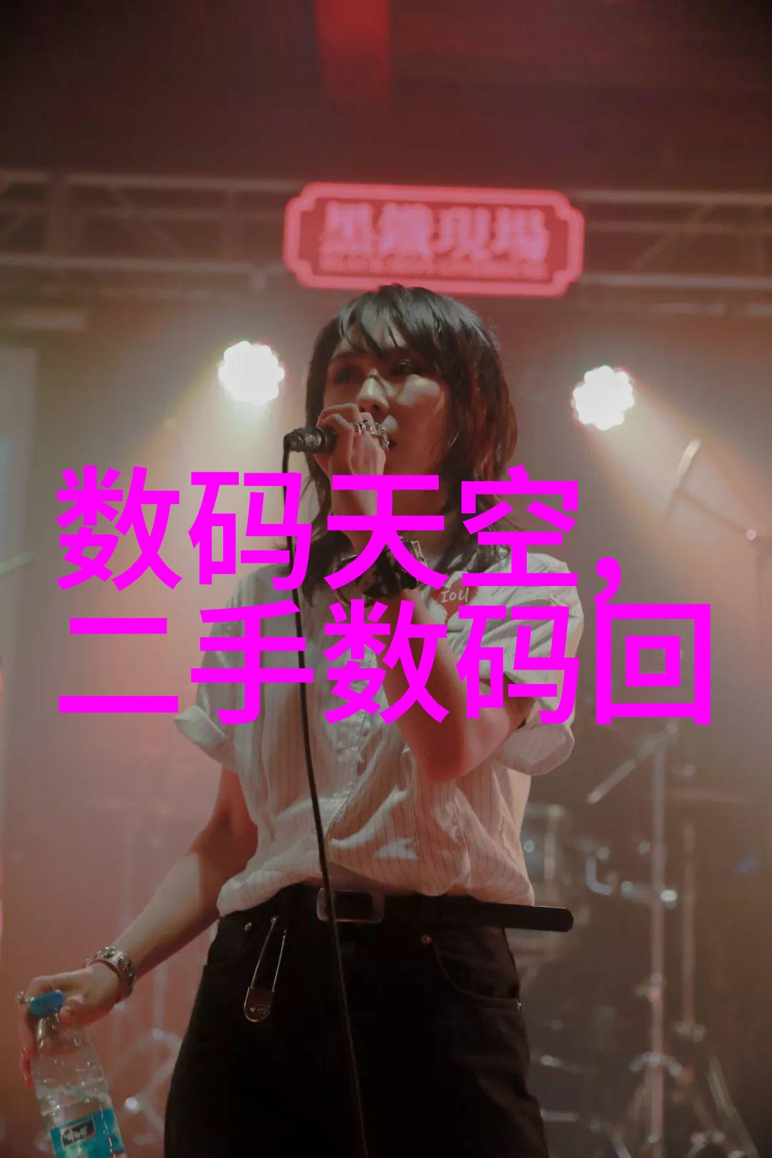 宫廷仕途皇妃的崛起
