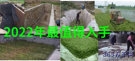 无菌环境的守护者汽化过氧化氢消毒机的奥秘与应用