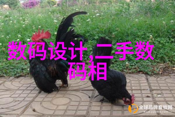 检测水质是否可饮用之谜揭秘水质检测的科学方法