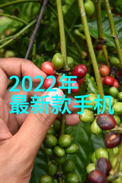 精馏塔原理与操作流程研究从分液到纯化的科学探究