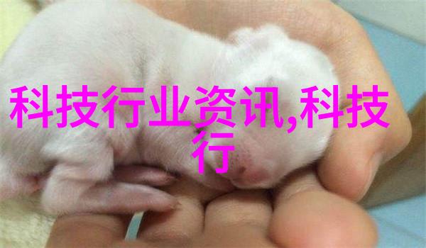融入自然元素让客廳電視牆更有生命力