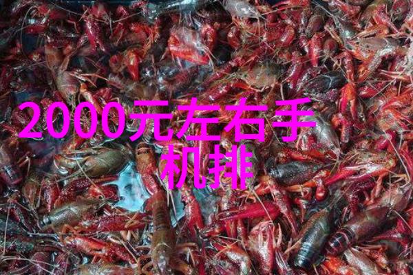 我该如何定期检查和调节我的家庭用净水器的pH价值以确保安全饮用吗