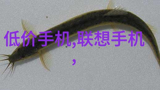 常用PE管材供应商哪里有PE管材批发市场