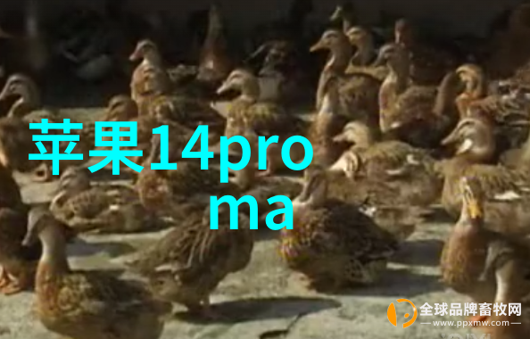 清洁之盾微生物之敌餐具消毒设备的双面人生