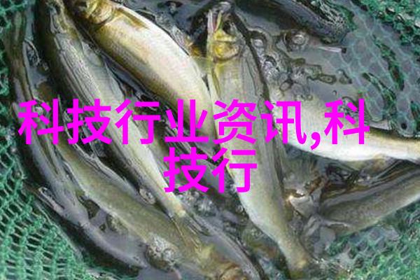 绽放的烟火我的人间烟火