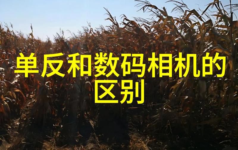 中国智能制造装备行业上市企业我眼中的智能制造巨头们他们的成长挑战与未来