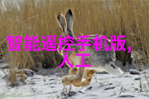 发生装置图片