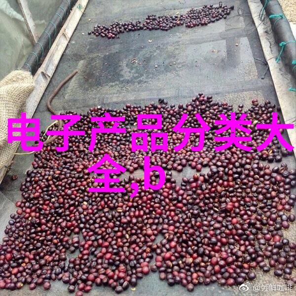 吸附剂捕捉细节的艺术