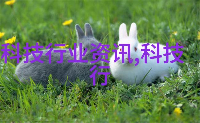 人工湿地火山岩填料自然景观模拟材料