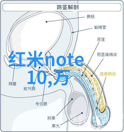 高压蒸汽灭菌锅灭菌参数 我来教你如何正确使用它