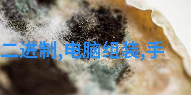 客厅设计效果图大全我来教你如何打造完美的家庭聚会区