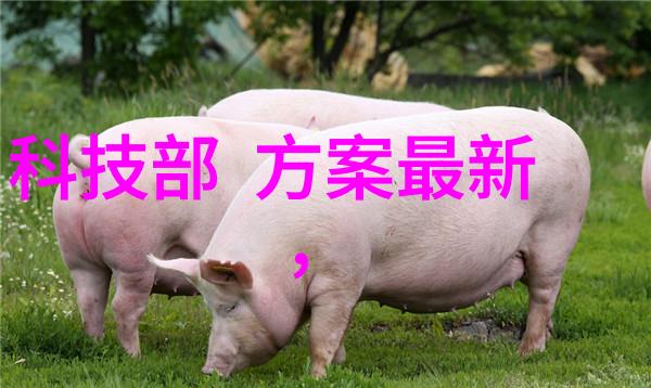 材料检测我是怎么发现自己家里的厨具都有毒的