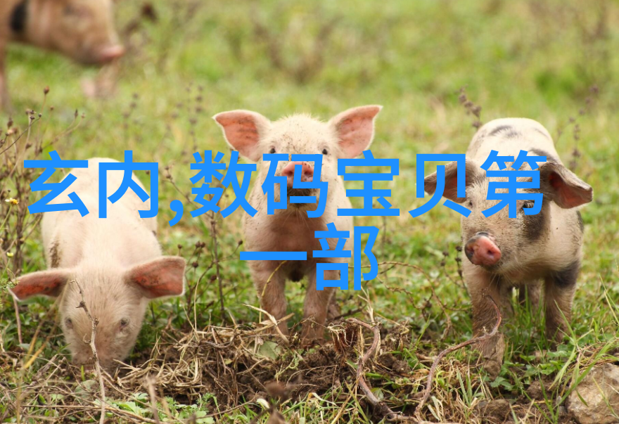 锦鲤是个技术活电视剧科技与生活的融合