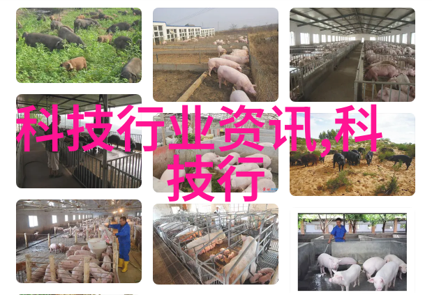 多参数水质快速检测仪高效环保水质分析器
