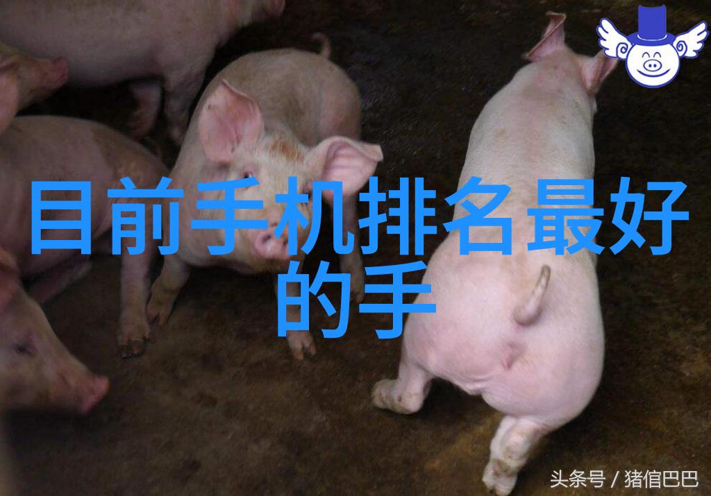 主题我想开一家不锈钢加工厂